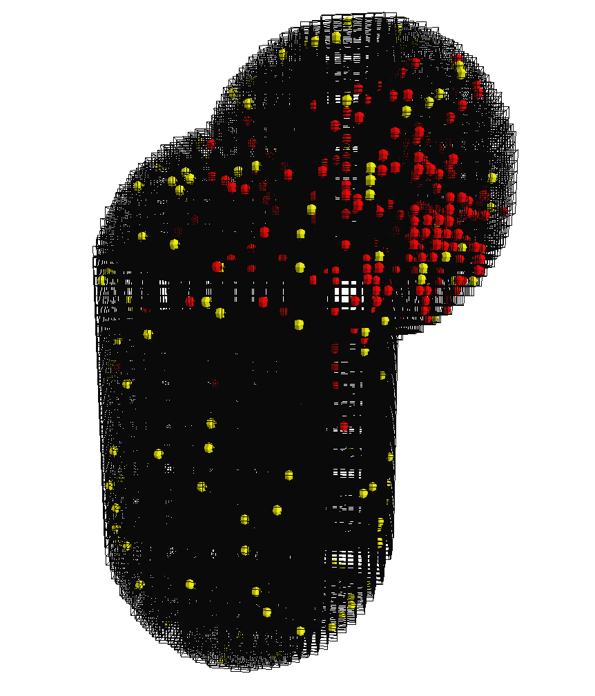 The OpenGL Visualiser